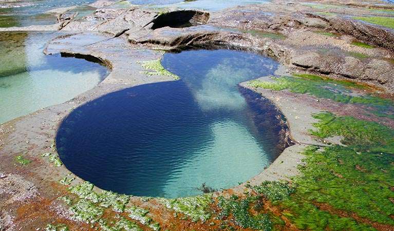 SEARCH AND BUY THIS PRODUCT 5 hidden rock pools to visit in Australia | smooth